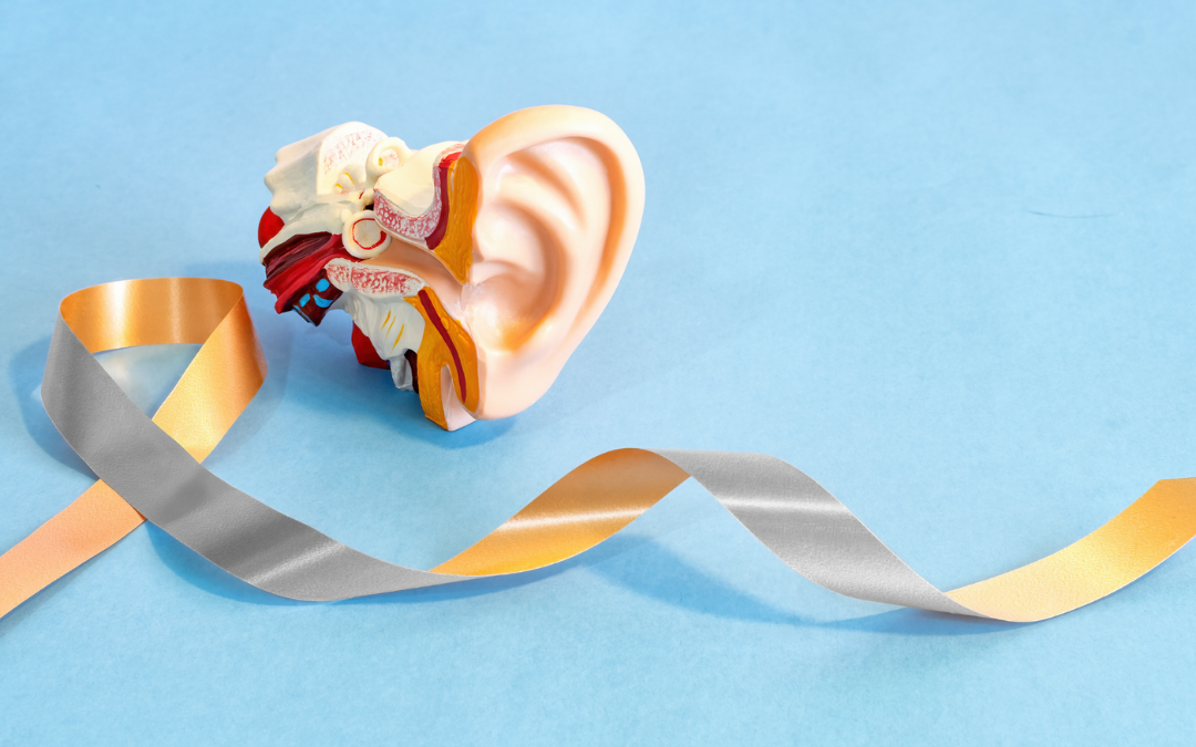 Congrès SIO 2026 : un voyage pluridisciplinaire au cœur des troubles cochléo-vestibulaires